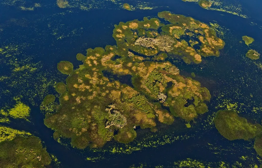Argentina Nature