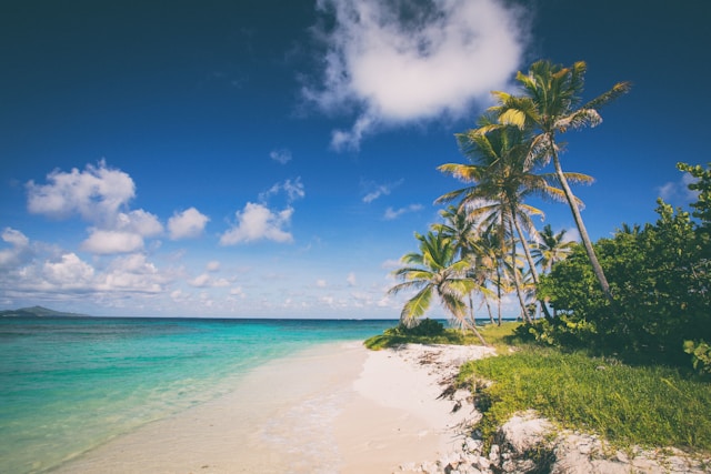 Cozumel Beach Travel Guide