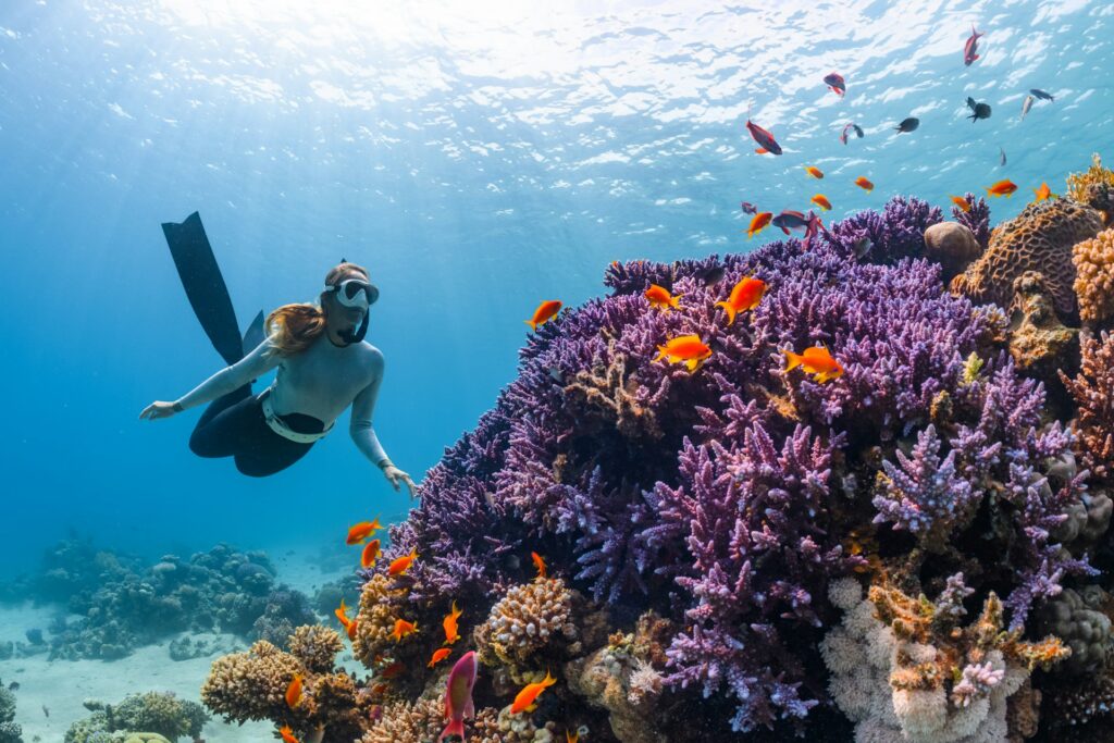 Cozumel Beach Travel Guide