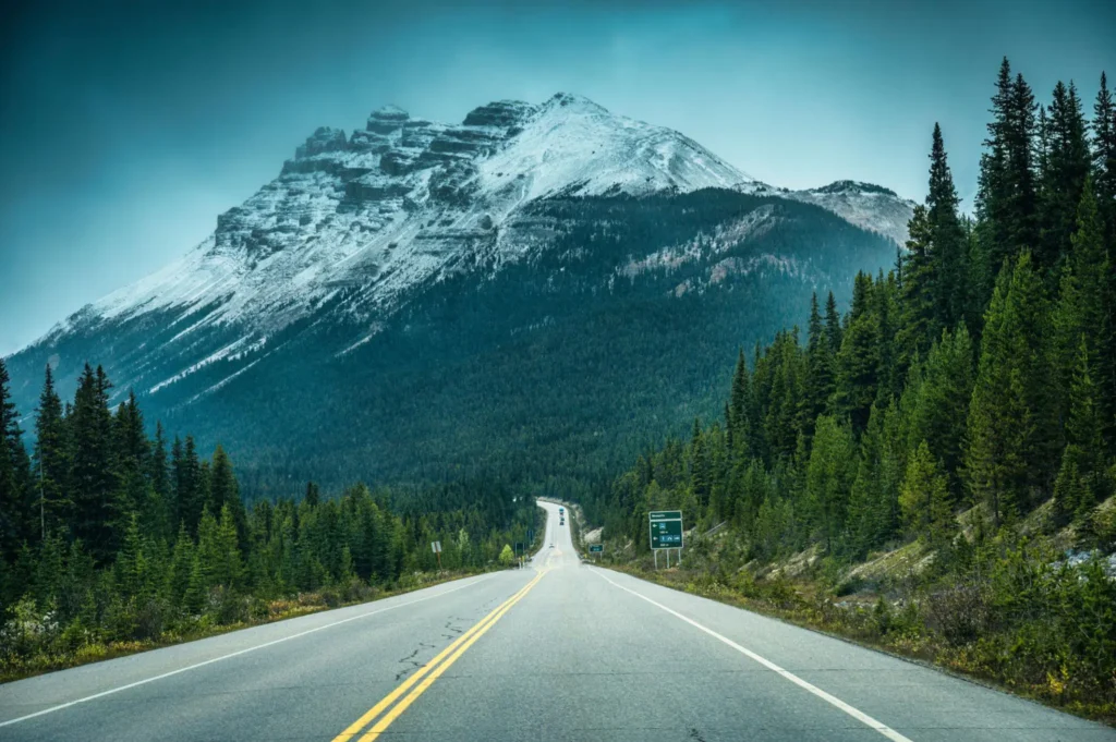 Road Trips: The Ultimate Guide to Epic Adventures on the Open Road 4 Road trips