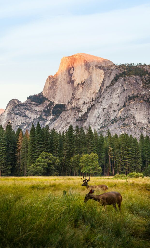 Coastal California Towns: The Ultimate Guide to California’s Most Beautiful Seaside Destinations in 2026 5 johannes andersson UCd78vfC8vU unsplash